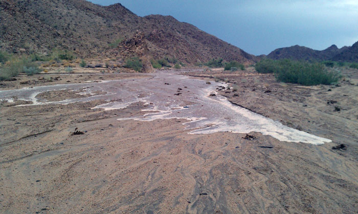 Flash Flood Joshua Tree National Park 8 25 2013   3