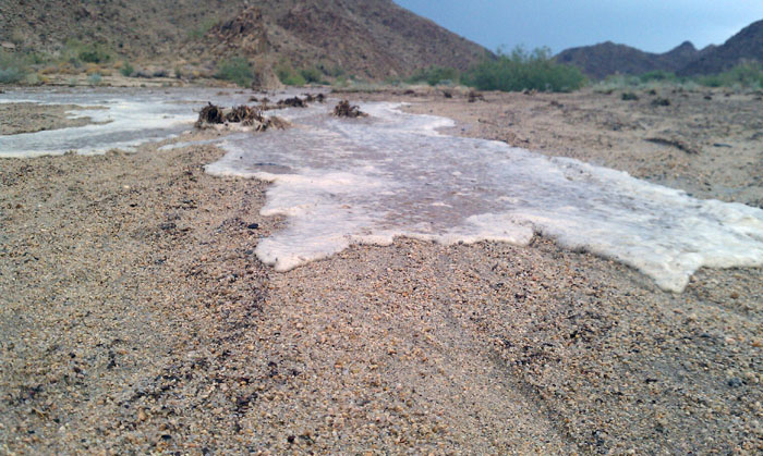 Flash Flood Joshua Tree National Park 8 25 2013   4