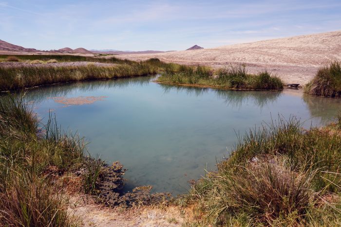 Tecopa Hot Spring 04