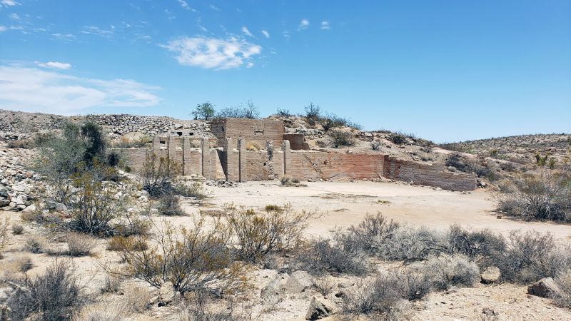 Mojave National Preserve 06