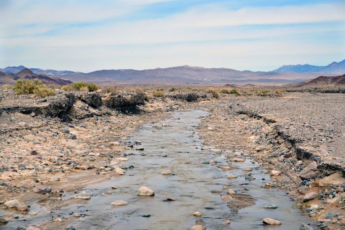 Amargosa River 02