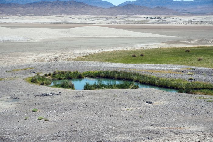 Tecopa Hot Spring 02