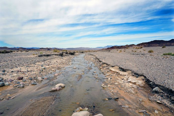 Amargosa River 01 Amargosa River 01