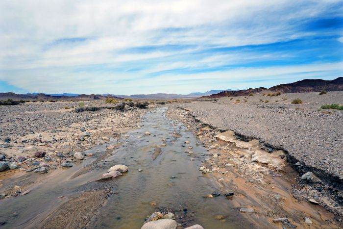 Amargosa River 01