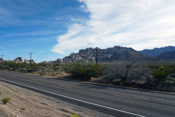 Mojave Preserve 04