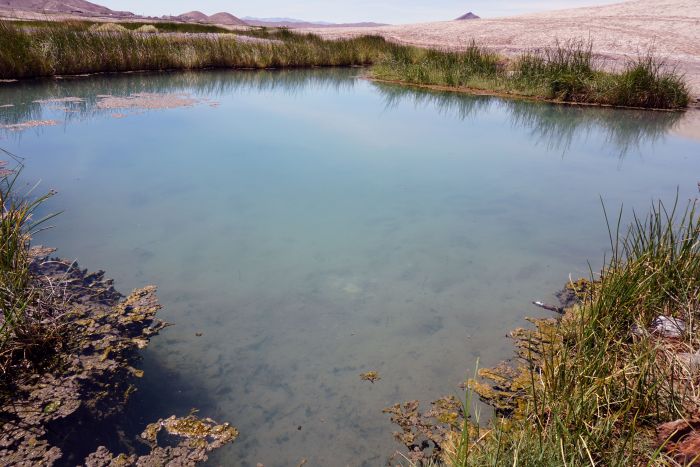 Tecopa Hot Spring 06