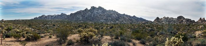 Mojave Preserve 03