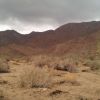 Mojave Desert 2