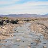 Amargosa River 02