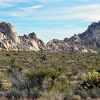 Mojave Preserve 02