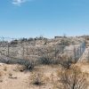 Mojave National Preserve 05