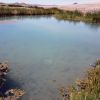 Tecopa Hot Spring 06