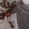 VideoCapture 20200212 111838