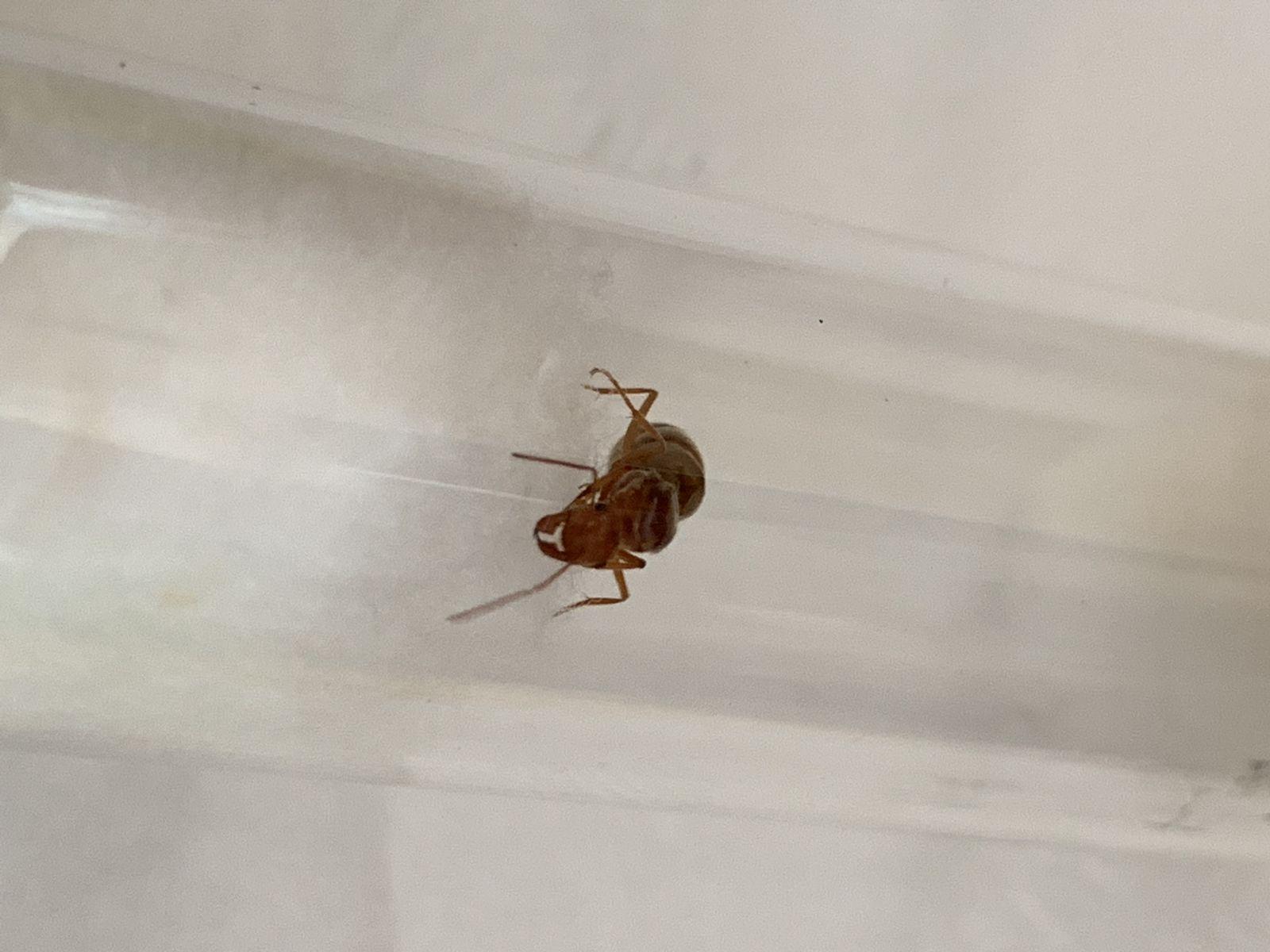 Palm springs ant1 7/25/2019 Palm springs ant1 7/25/2019