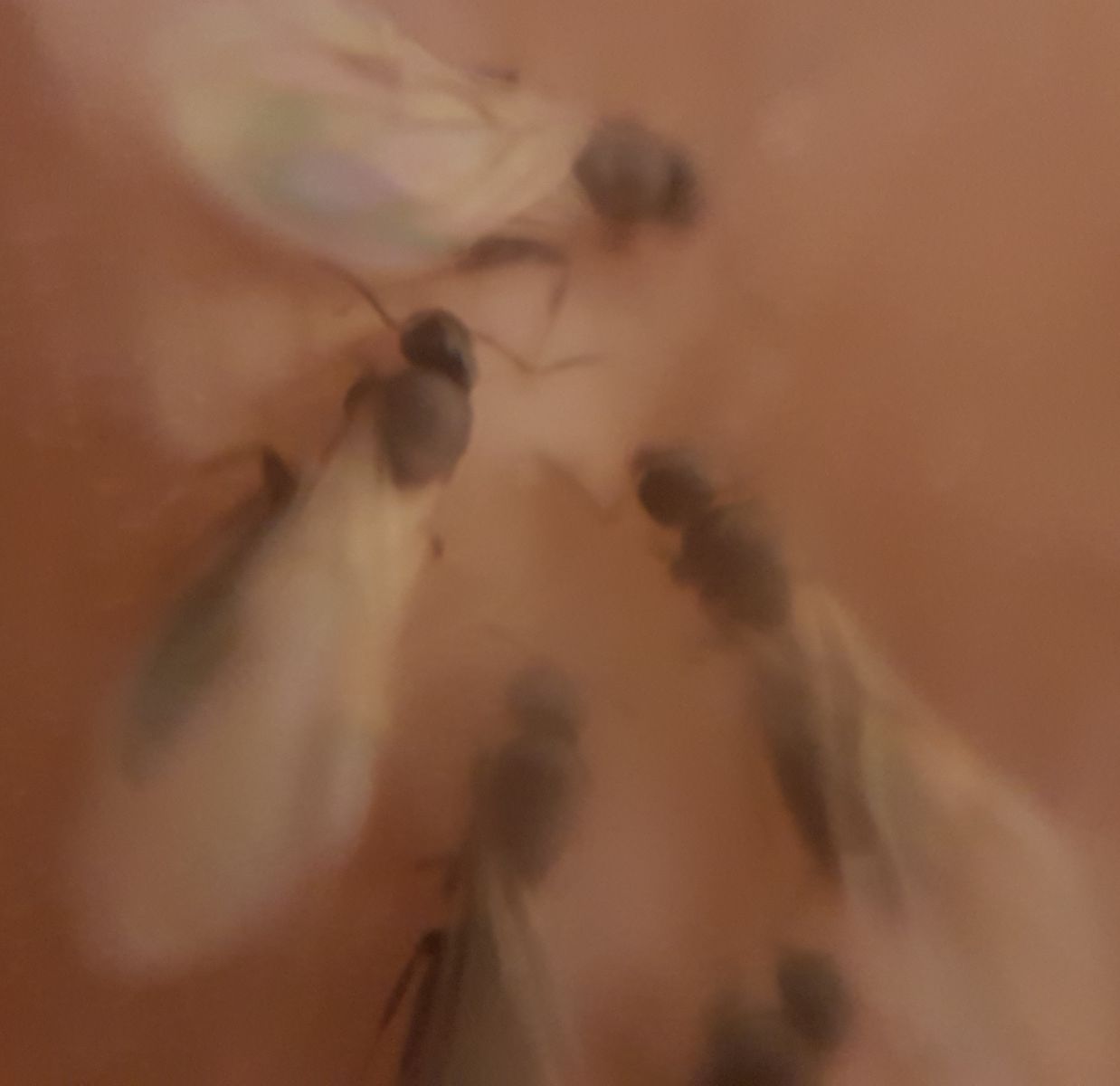 20190728 213420 20190728 213420