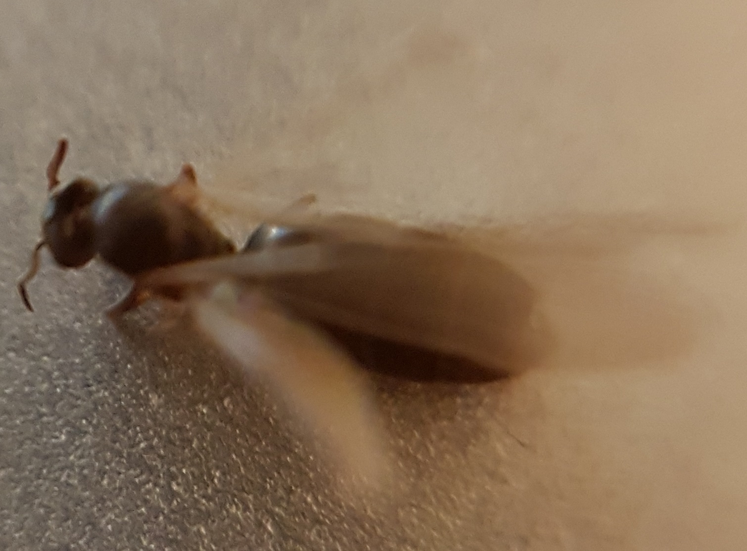20190728 213313 20190728 213313