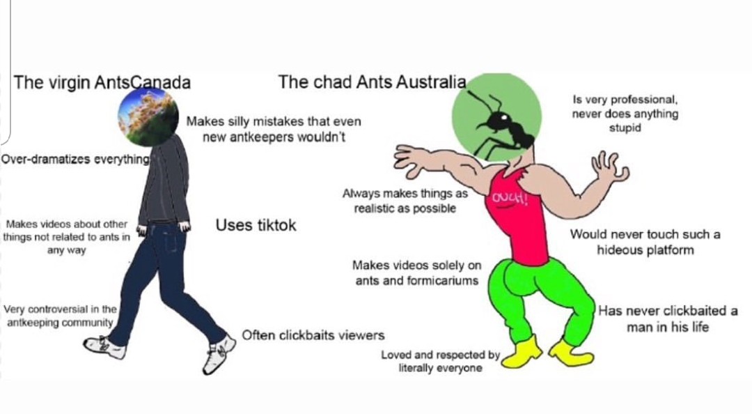 The virgin antscanada vs the chad ants Australia