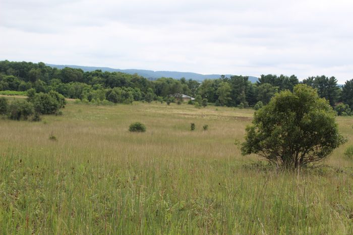 Spring Green Preserve