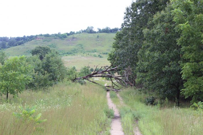 Spring Green Preserve Entrance