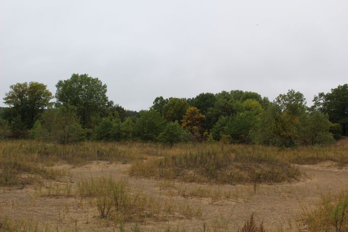 Kenosha sand dunes