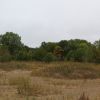 Kenosha sand dunes