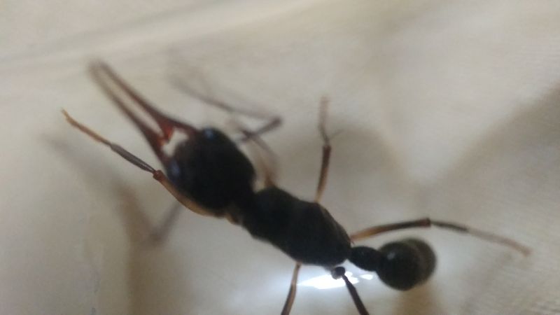 IMG 20191221 174740