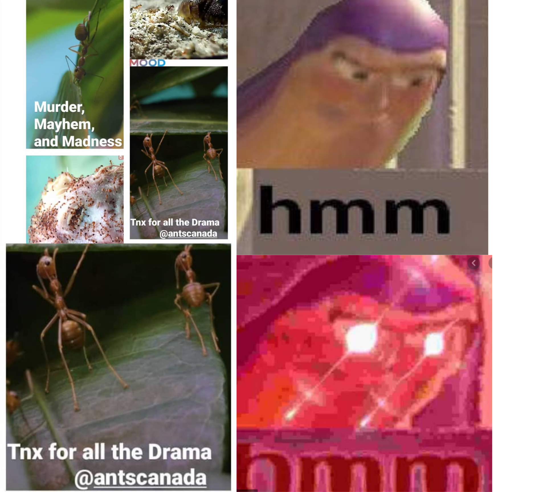 Antmeme 2