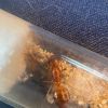 IMG 1047 (1)