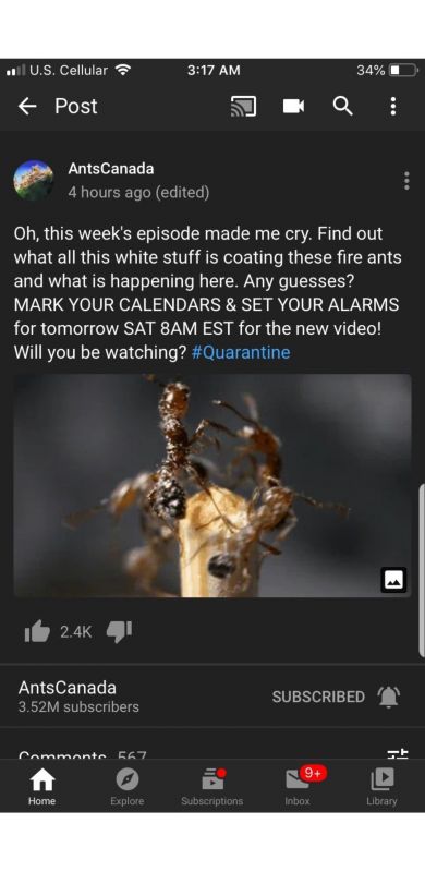 Screenshot 20200523 170538 Instagram
