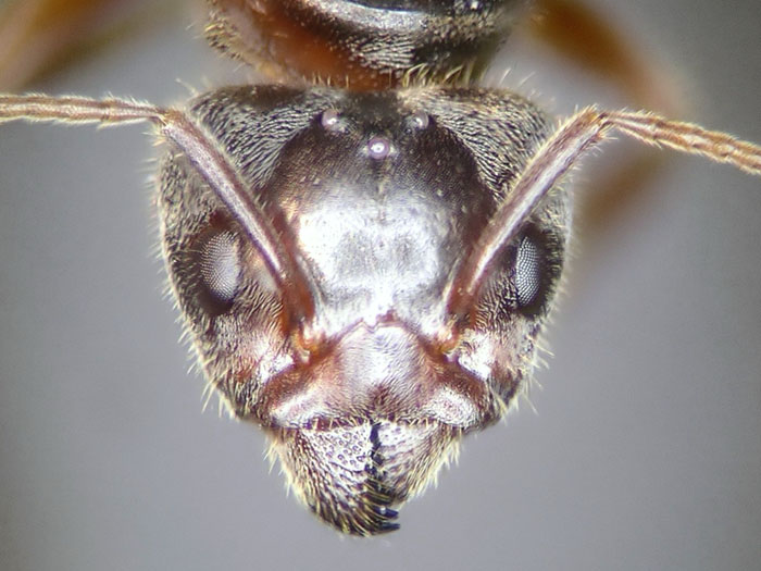 female 03 female 03