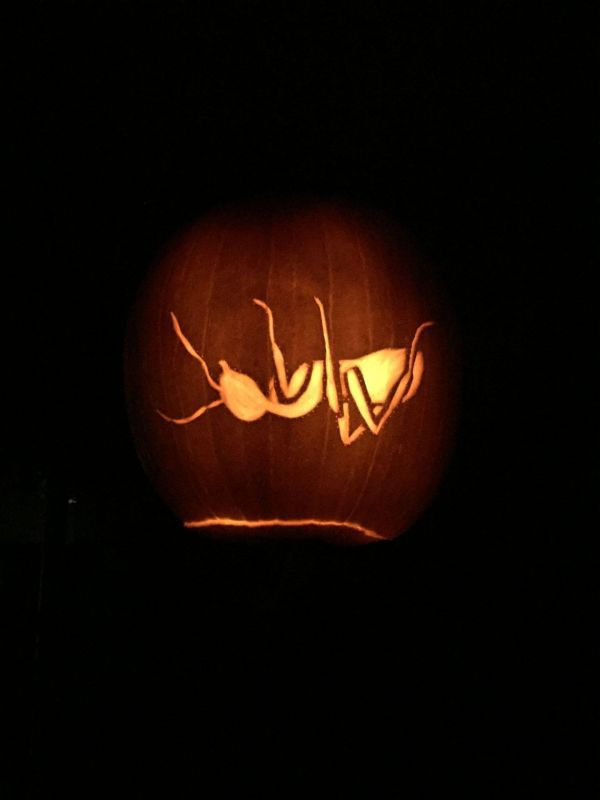 lit jack-o-ANTern