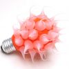 spikybulb