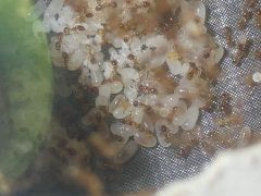 IMG 20200917 232514746 IMG 20200917 232514746