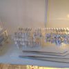 Formicidae Collection 8202020