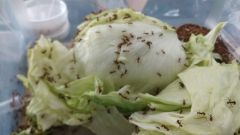 IMG 20210608 104233474 IMG 20210608 104233474