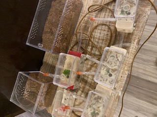 thumbnail image2