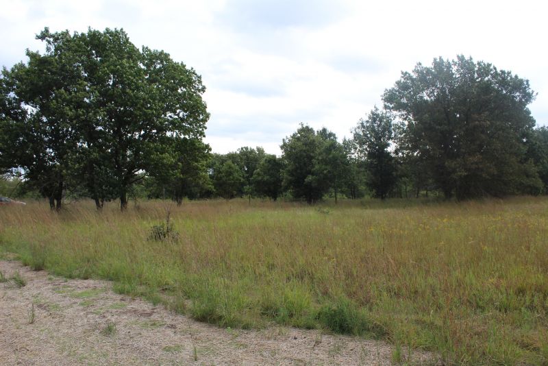 Woodman Sand Prairie