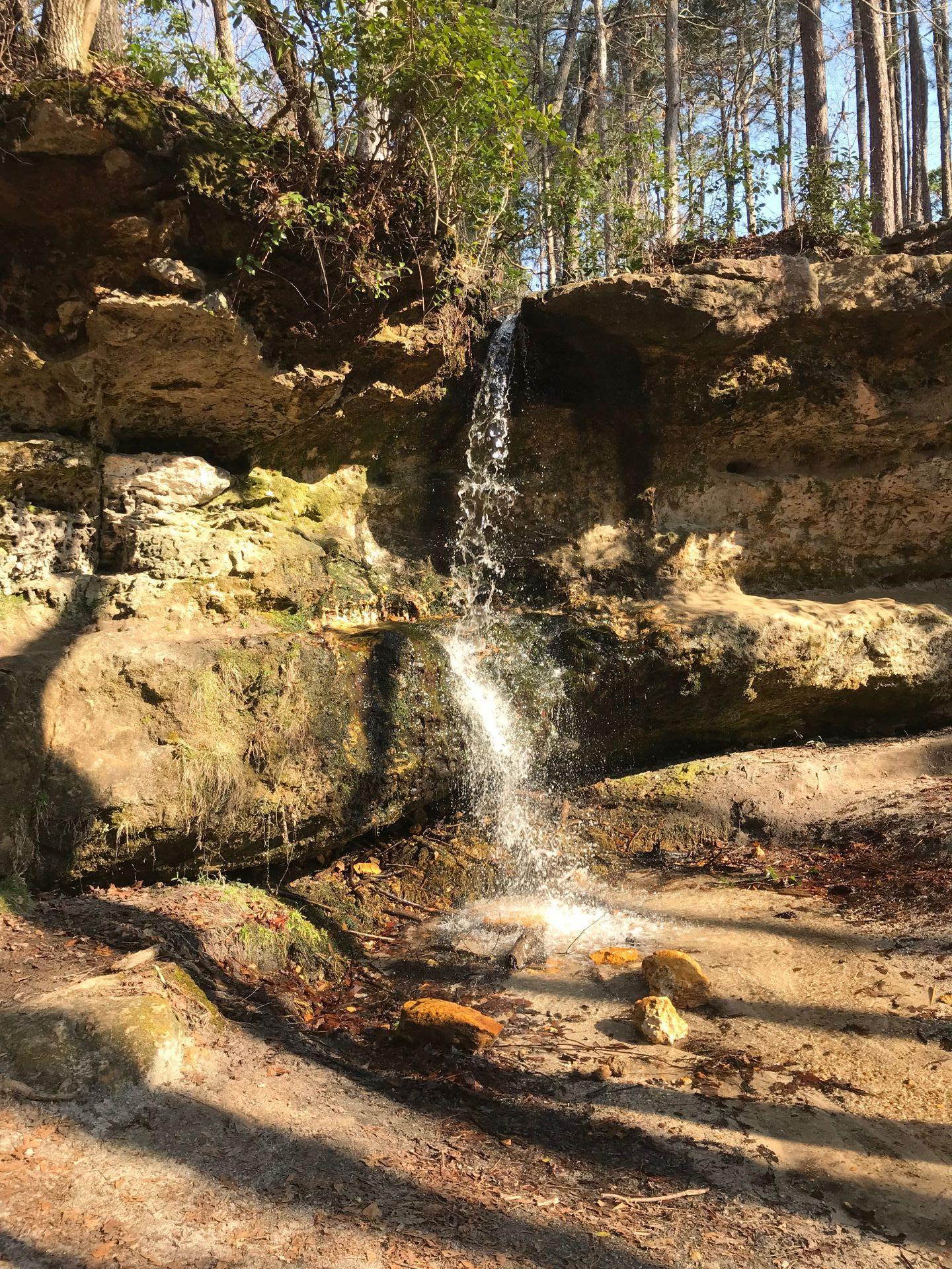 Anting the Peachtree Rock Heritage Preserve - Lexington, SC (3/12/2021 ...