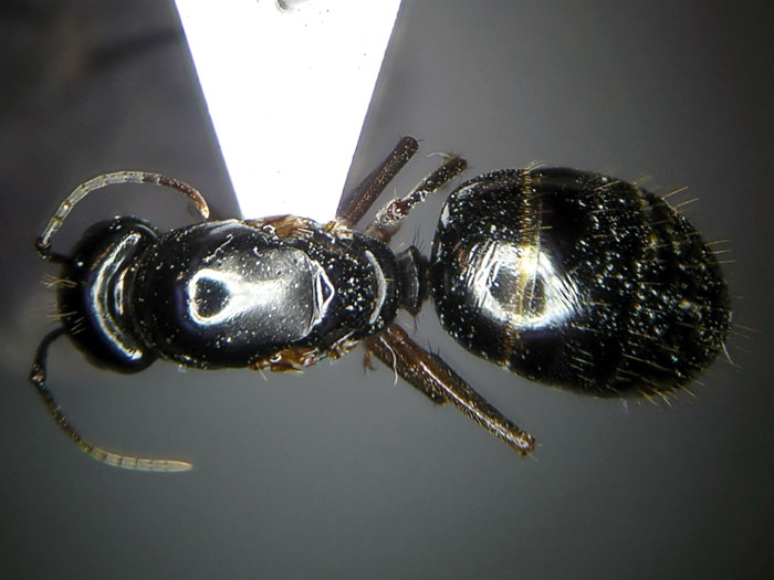 female 02 female 02