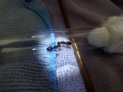 20210428 143500 20210428 143500