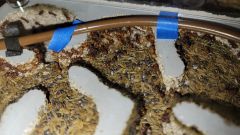 brood pile two 2/6/2022 brood pile two 2/6/2022