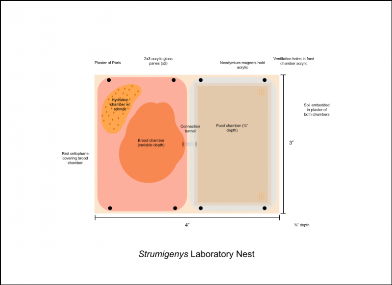 Cryptobiotic-Specific Nest