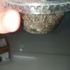 IMG20210613175013
