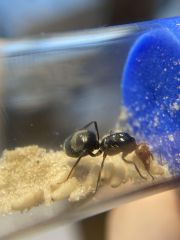 BB9F9B49 BF6F 4C8D B890 6DF7274BF178 BB9F9B49 BF6F 4C8D B890 6DF7274BF178