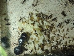 IMG 20210909 173722326 IMG 20210909 173722326