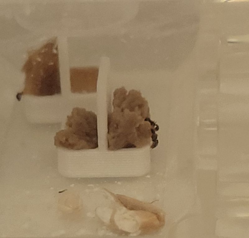 20210820 150215