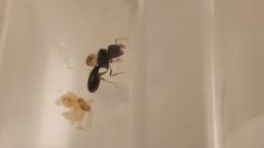 20210813 214507 20210813 214507