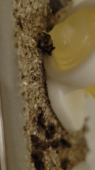 20220402 032417 1 20220402 032417 1