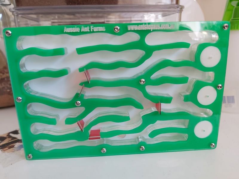 241184332 1229443714160758 6013187934182967595 N