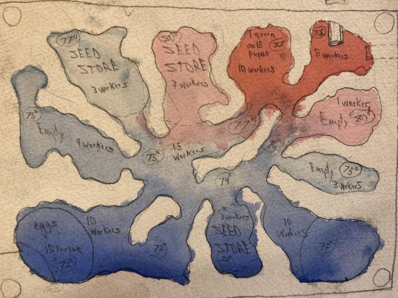 Temperature Gradient Watercolor Study